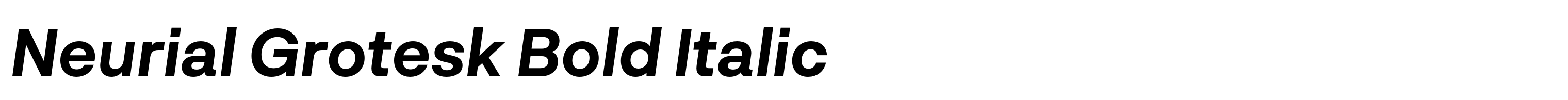 Neurial Grotesk Bold Italic